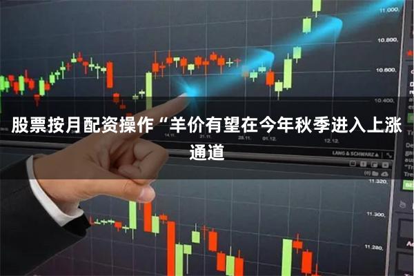 股票按月配资操作“羊价有望在今年秋季进入上涨通道