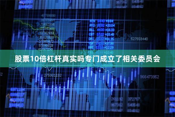 股票10倍杠杆真实吗专门成立了相关委员会